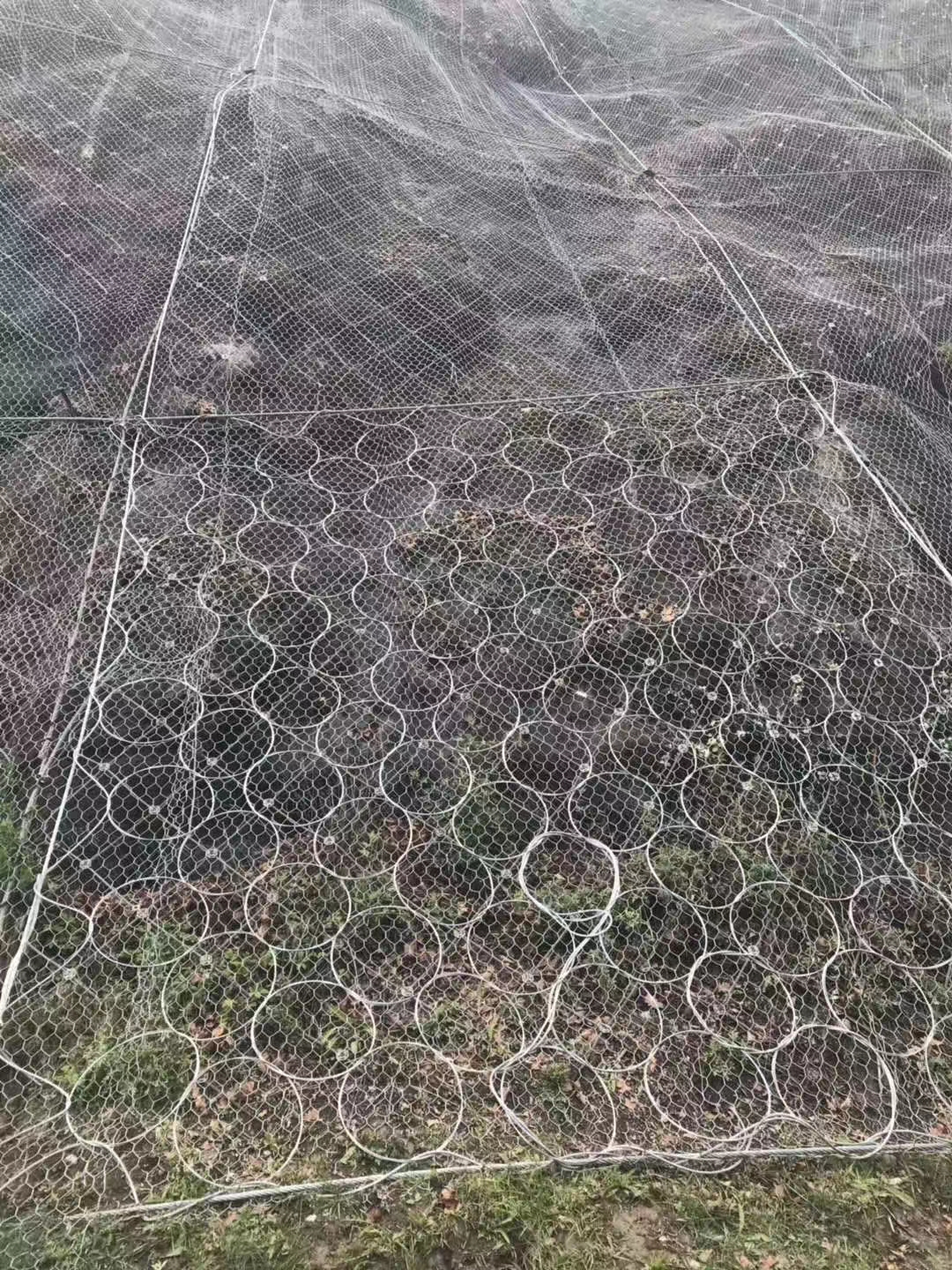 ����(d��ng)���o(h��)�W(w��ng)