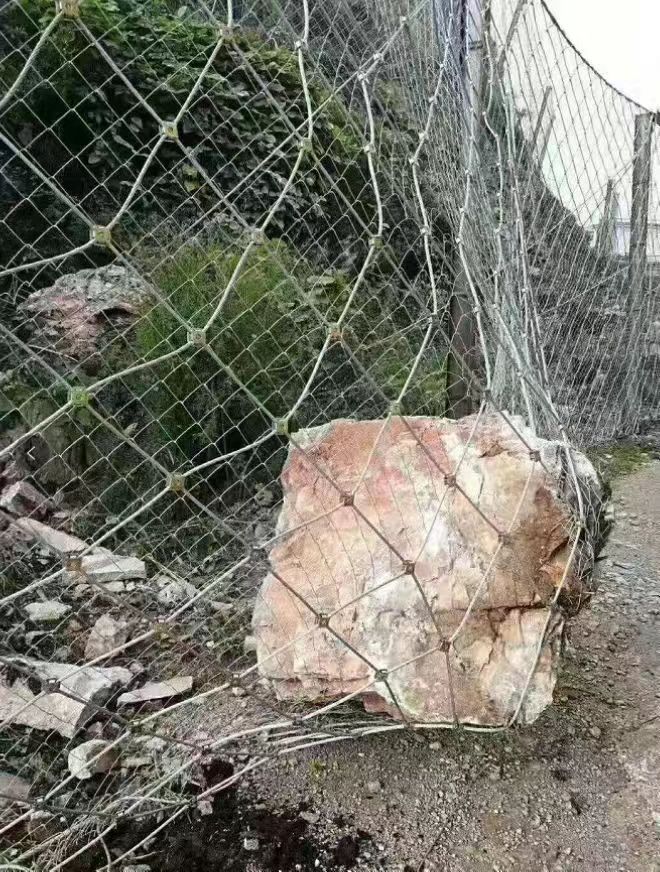 ����(d��ng)���o(h��)�W(w��ng)