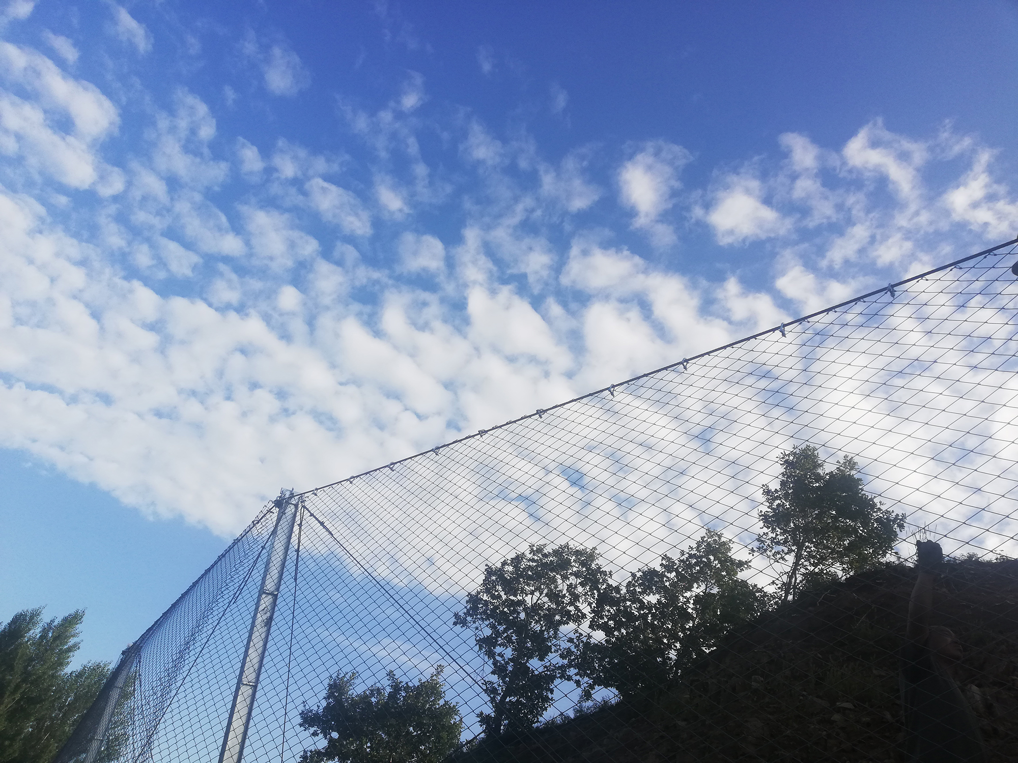 ����(d��ng)���o(h��)�W(w��ng)