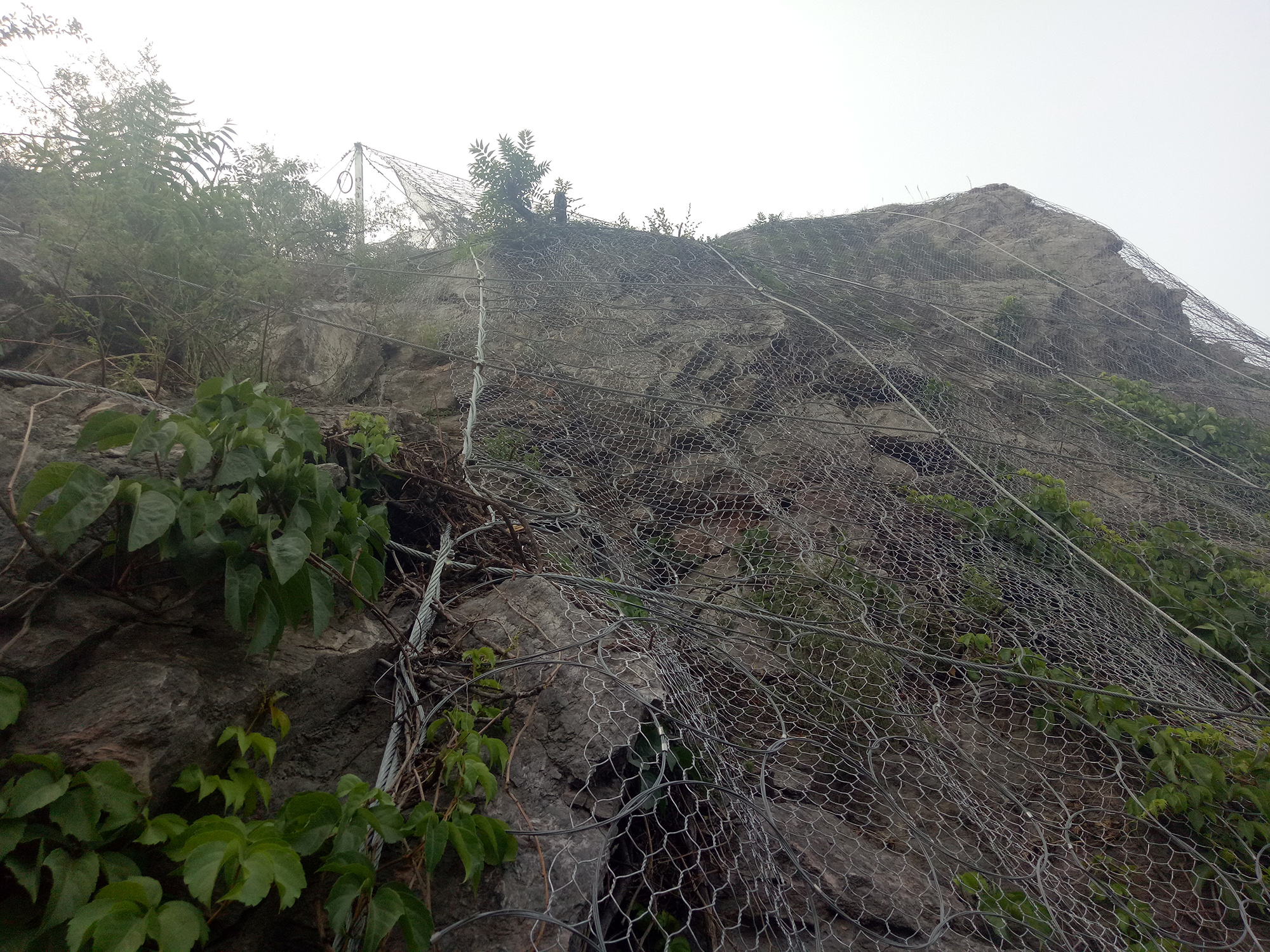 ���wʽ����(d��o)�W(w��ng)