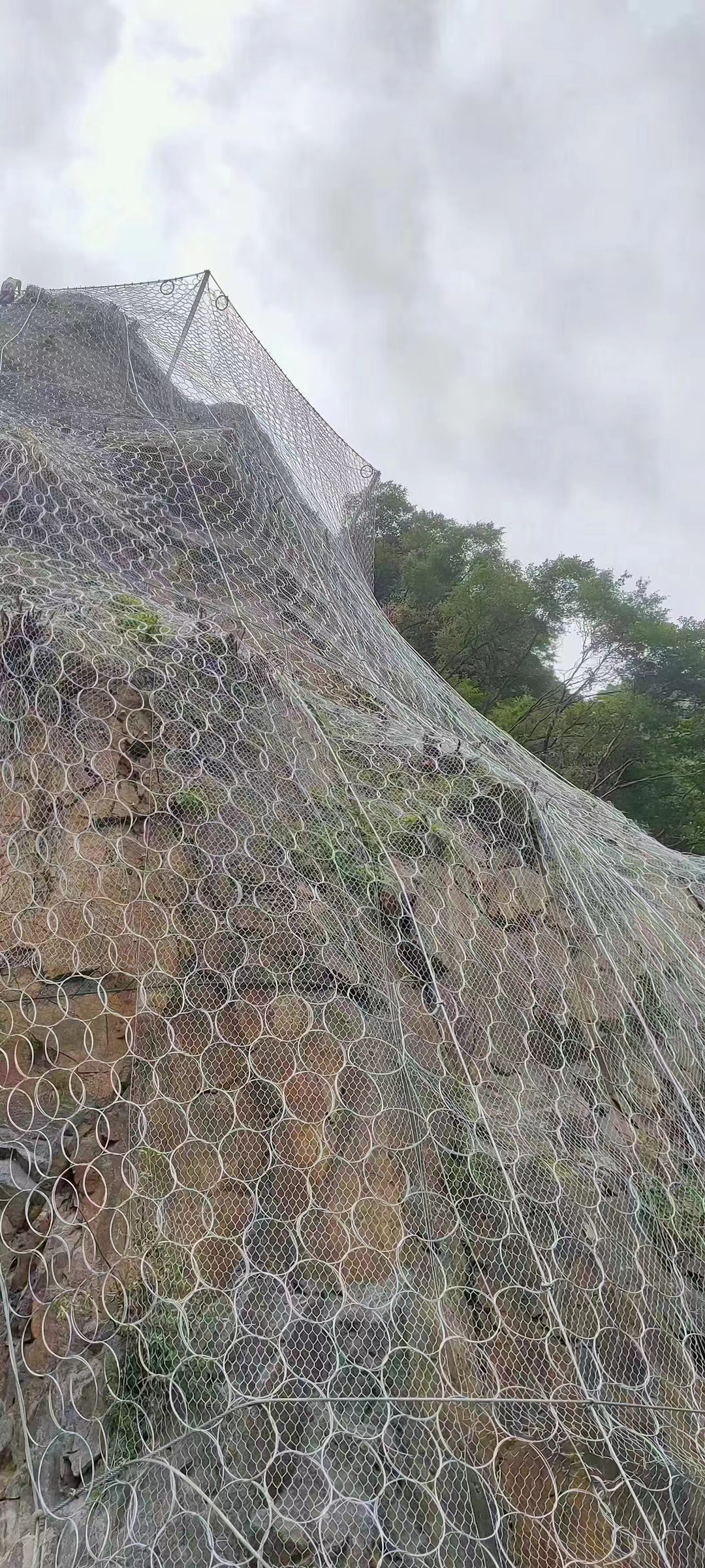 ����ʽ����(d��o)�W(w��ng)